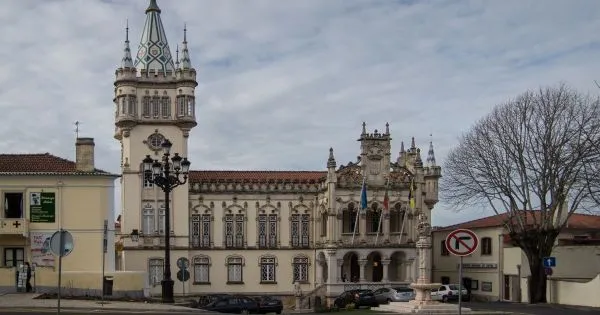 Sintra lança campanha contra "monos" e resíduos nas ruas