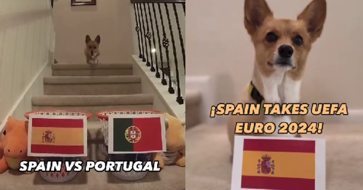 Aposta feita: co antecipa que final do Euro seja entre Portugal e Espanha