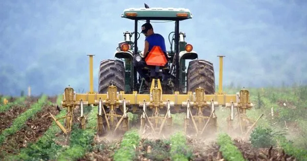 Governo aprova prolongamento dos apoios ao gasóleo agrícola e aos pescadores