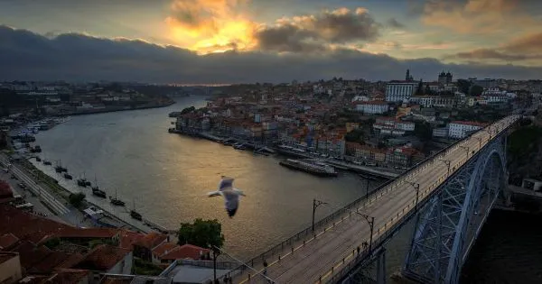 Porto vai reduzir estacionamento à superfície e dar prioridade a residentes
