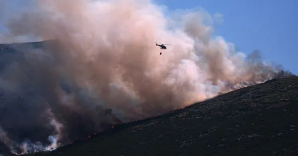 Dois fogos em Proença-a-Nova mobilizam mais de 800 bombeiros