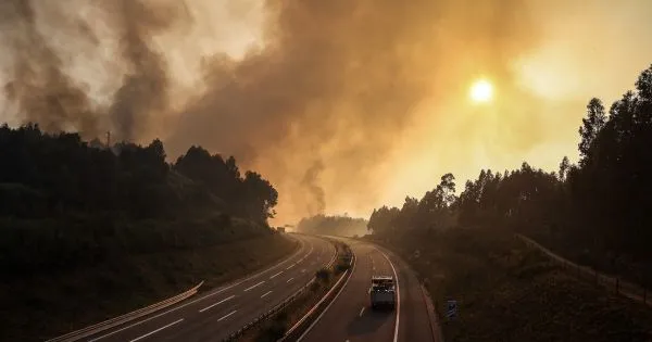 Vinte concelhos de sete distritos em perigo máximo de incêndio