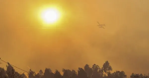 A1 reaberta nos dois sentidos em Aveiro após incêndio