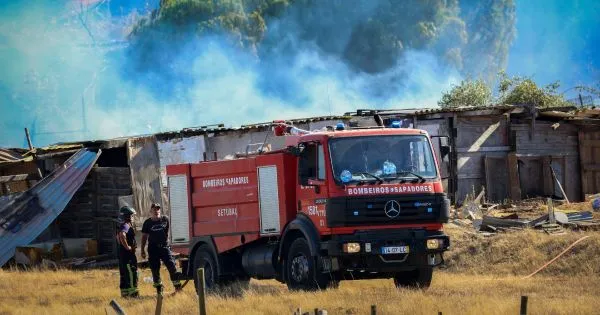Fogo em Setúbal destruiu zona de mato e barracas