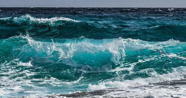 Zero registou mais de 80 restrições a banhos nas praias entre maio e julho